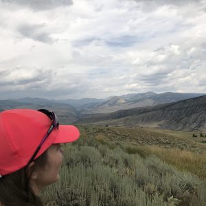The Views at Yellowstone National Park